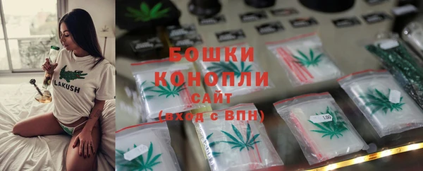 мяу мяу мука Пестово