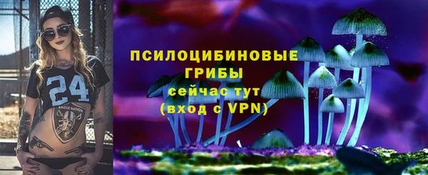 мяу мяу мука Пестово