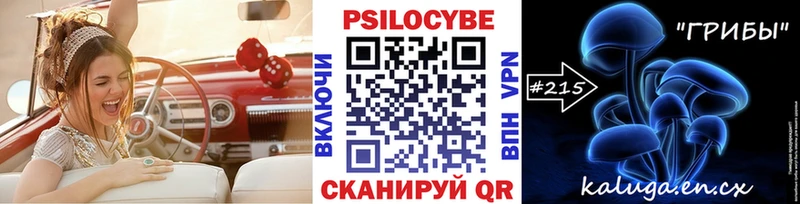 KRAKEN ссылки  Уссурийск  Псилоцибиновые грибы GOLDEN TEACHER 