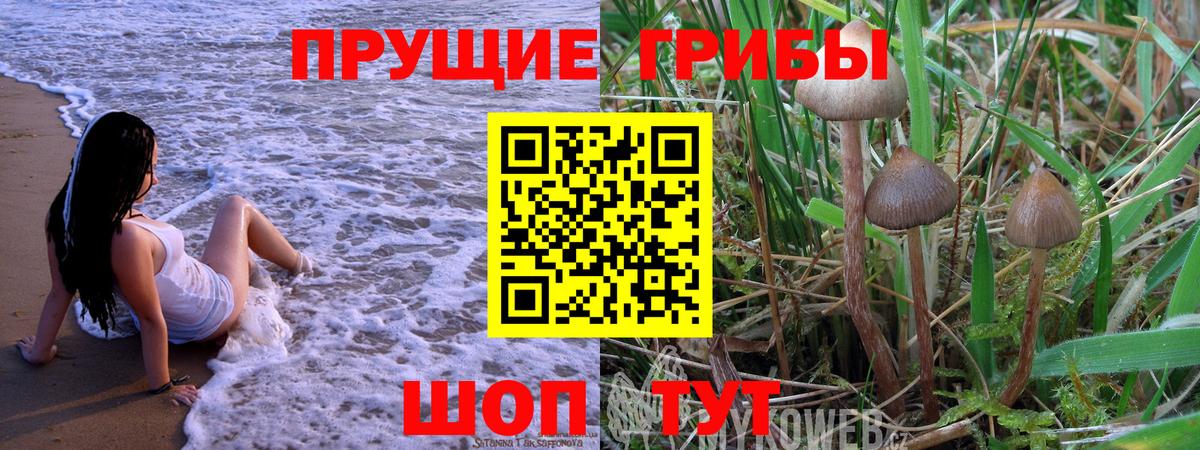 Псилоцибиновые грибы Psilocybine cubensis  продажа наркотиков  Псилоцибиновые грибы Cubensis  Уссурийск  Вход с VPN 
