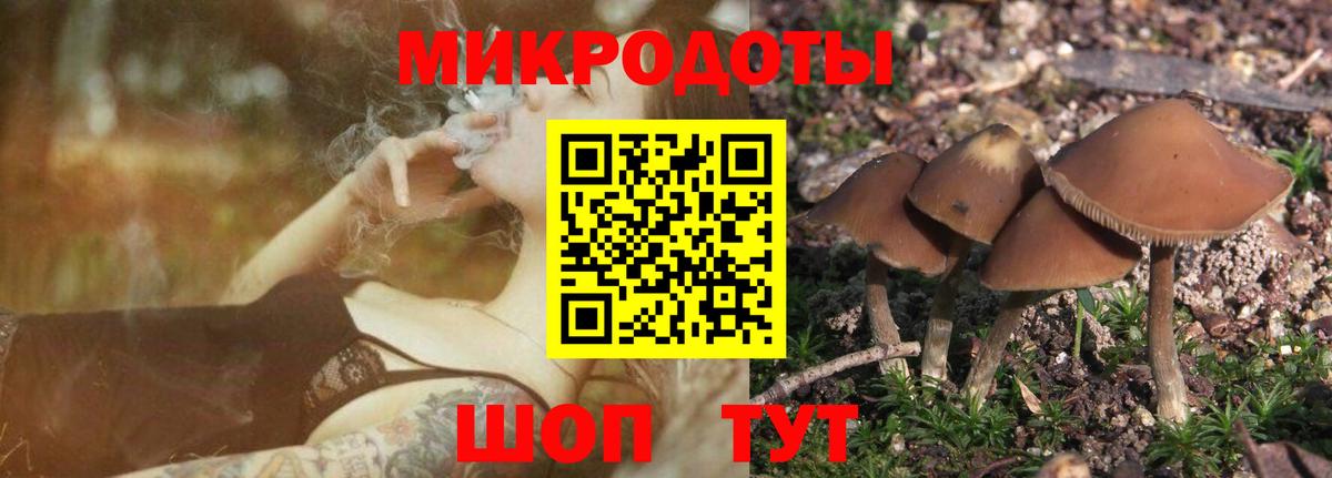 Псилоцибиновые грибы мицелий Уссурийск